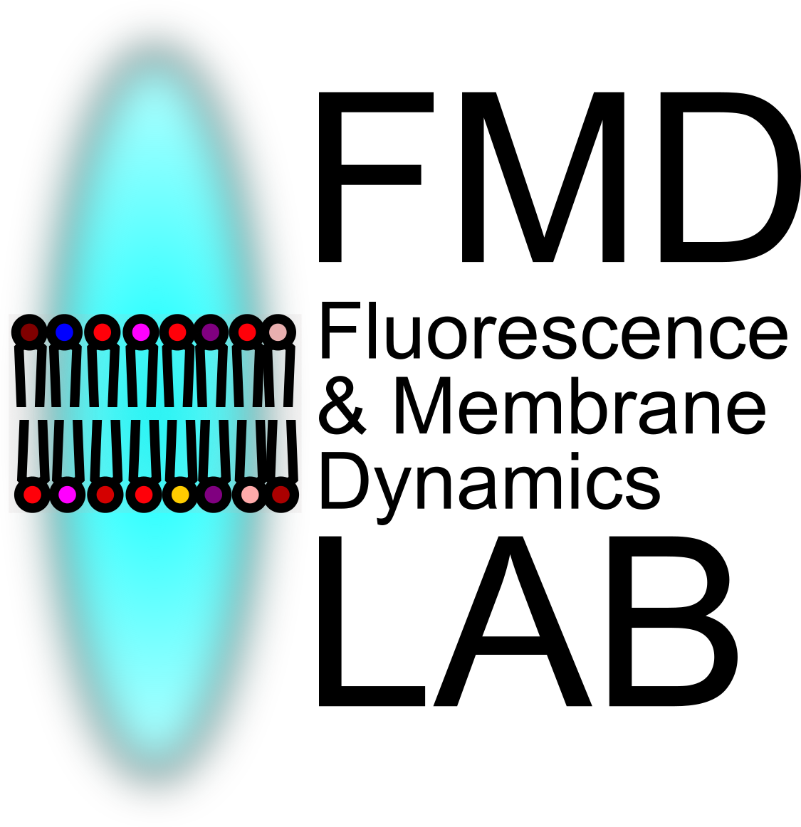 Fluorescence and Membrane Dynamics (FMD) Lab Logo